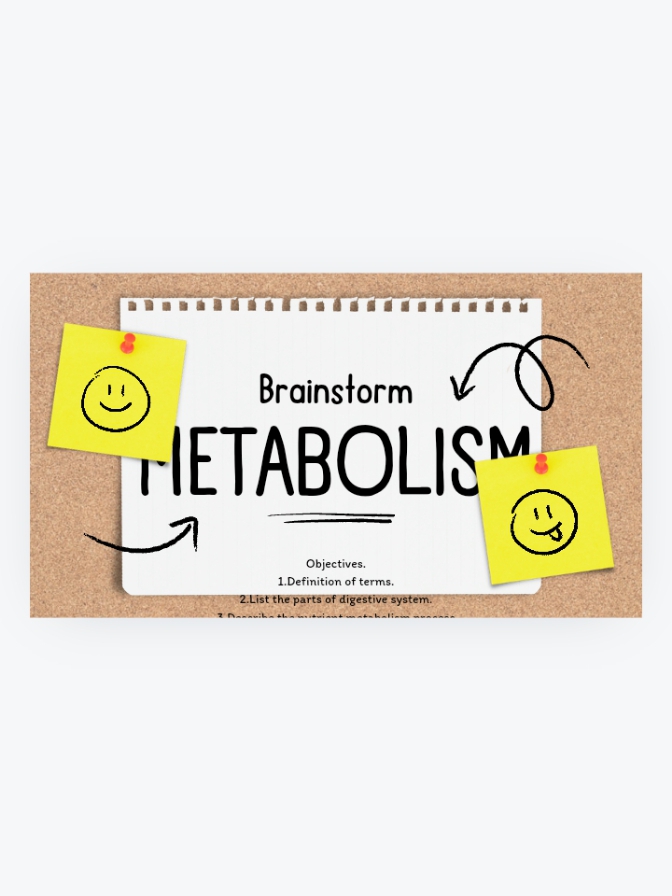 Storyboard on food metabolism 